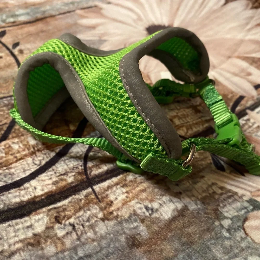 🦋EUC cat/tiny dog harness
